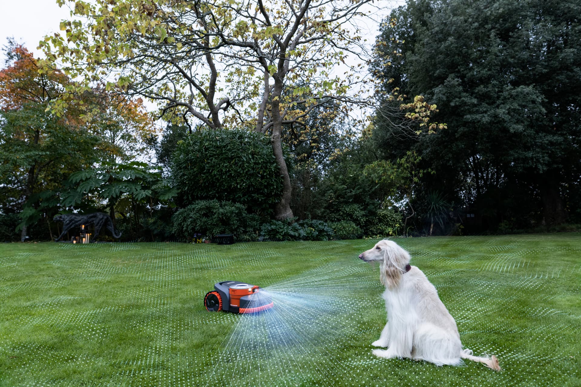 Navimow H2 Animal Frendly