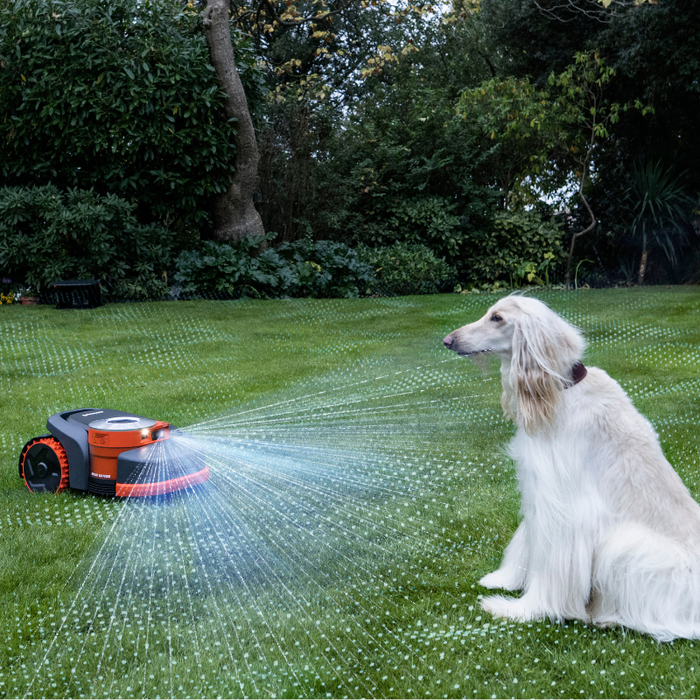 How Robot Lawn Mowers Avoid Hazards